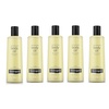 16 Fl Oz (Pack of 5)